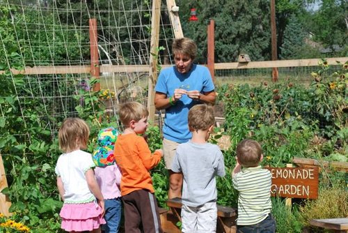 PPUrbanGardens's profile picture. We are striving to cultivate, educate, and increase the food security of the community through
urban garden projects and education in the Pikes Peak region.