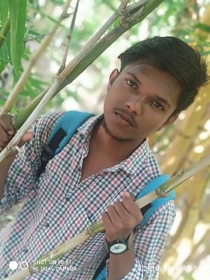 I am a student who wanted to became writer some day,.......