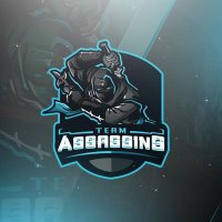 Team Assassins™ (@teamassassinsco) 's Twitter Profile