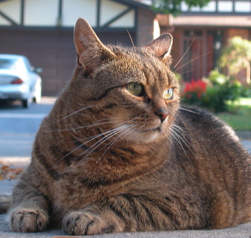 juleart's profile picture. Hello!