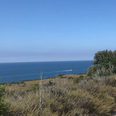 jflan917's profile picture. 