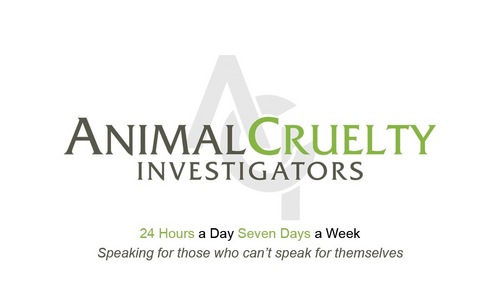 ACI_NJ's profile picture. Animal Cruelty Investigators is an autonomous movement devoted and geared solely to rescuing neglected, abused, &forgotten animals in the NJ Metropolitan Area.