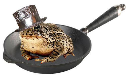 tinfoilhotties's profile picture. celebrating beautiful women in tinfoil hats!