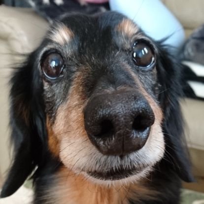 美しい日本🎌に、日本🎌人として生まれ、日本🎌の行く末を心から憂う、動物🐕大好きなぐーたら人間です😅
RT.いいね.コメントが多いです。
遅まきながら、お花畑から覚醒👀しました❗
無言フォロー、無断RTをお許しください🙇♀️
※DMは読みません