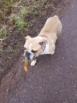 tcattta's profile picture. 