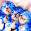 randy adam - @Ran_Zer - Twitter