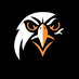 PHS Falcons Boys Lacrosse (@psd_boyslax) Twitter profile photo