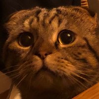 Michel (@michelvisuals) 's Twitter Profile