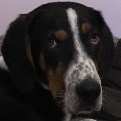 actros's profile picture. 