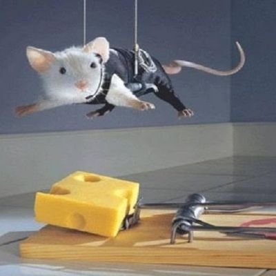 MurkyButtah's profile picture. The greatest enemy of knowledge is not ignorance; it is the illusion of knowledge.