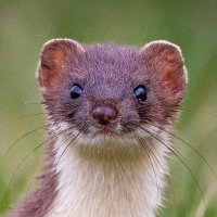David Brooker (@davidtbrooker) 's Twitter Profile Photo David Brooker (@davidtbrooker) 's Twitter Profile Photo