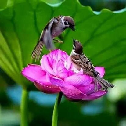 sasi19882's profile picture. பழி வாங்கும் எண்ணம் மட்டும்....