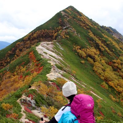 猫と山をこよなく愛しています。東北の山と南アルプス、後立山連峰が特にすき。ホームマウンテンは尾瀬。お家には5匹の猫がいます。【YouTube】@santama0811さんとやってます。→ https://t.co/LVZnb0uw7O