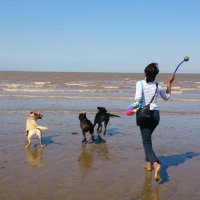 Michellee Grant (@michellee_grant) 's Twitter Profile