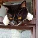 Sandra Griffiths - @SandraG90235154 - Twitter