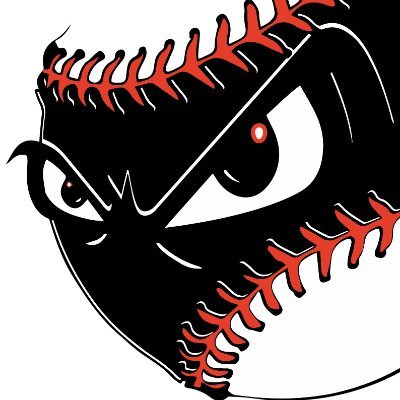 BaseballNinjaPA's profile picture. 