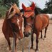 Sallyโs Riding School (@spogface) Twitter profile photo Sallyโs Riding School (@spogface) Twitter profile photo