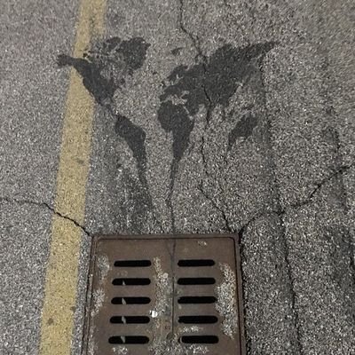 voidiss's profile picture. privacy, transparency, whistleblowing, human rights, environment.