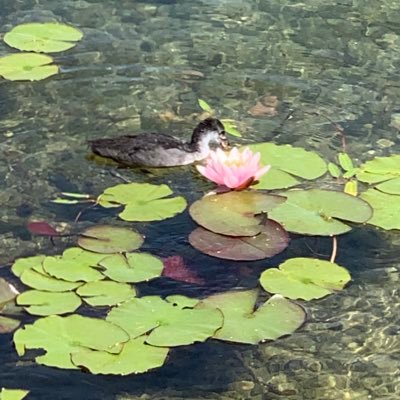 RZ17246075's profile picture. 