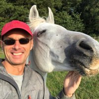 hartley the hare (@uplonkerrodney) 's Twitter Profile Photo hartley the hare (@uplonkerrodney) 's Twitter Profile Photo