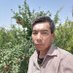 Heydar Hashemi (@heydarhashemi) Twitter profile photo Heydar Hashemi (@heydarhashemi) Twitter profile photo