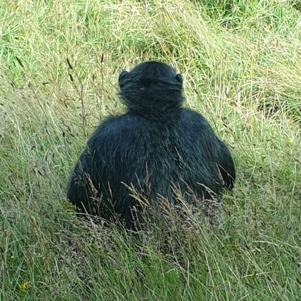 Caridi's profile picture. it is a documentary.