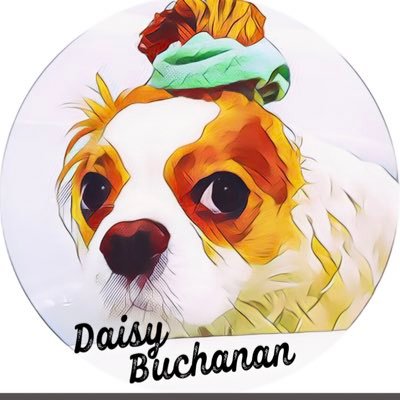 thegreatdaisyd1's profile picture. I take approximately 4 naps a day & my literary namesake is a Great Gatsby character. Expert snuggler. The world’s 1st canine flapper. momager: @marybssellers
