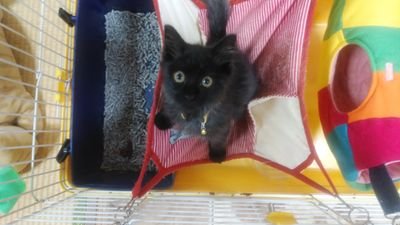 kaaaaaaaaaaaz's profile picture. 