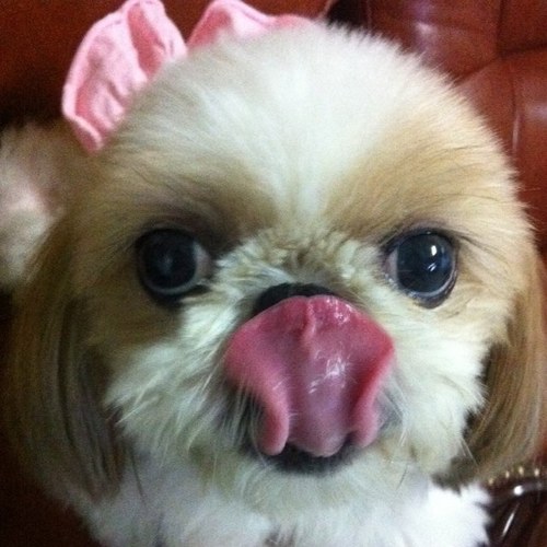 cjbabo's profile picture. 