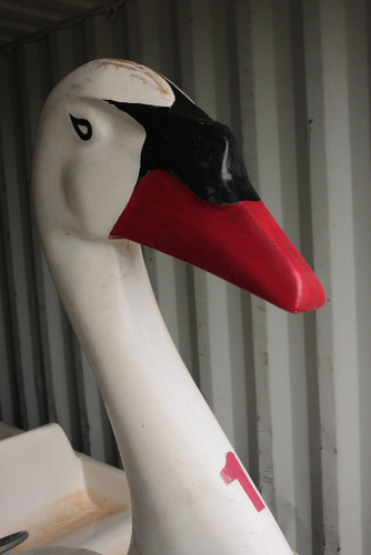 swanpedalo's profile picture. Open Source Swan Pedalo - a see where it goes project