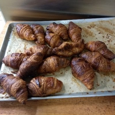 DieByTheCode's profile picture. Silly bunny! Tricks are for kids...or baby goats...who knows?