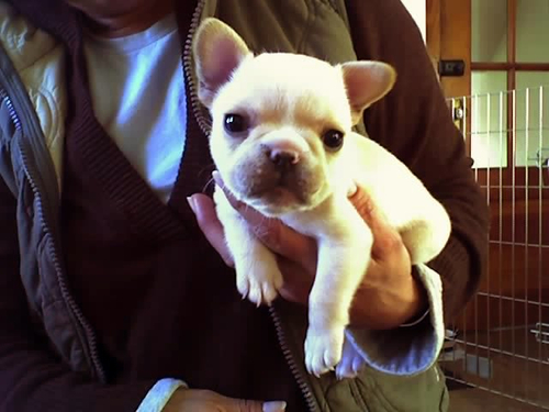 jennymorgan's profile picture. One of at least 150 Jennifer Morgan's                                                   in Delta's frequent flyer program.