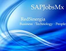 RedSinergia Consultoria Gerencial S.A.deC.V. es una firma de consultoria empresarial que cuenta con el nivel Gold como partner SAP y con experiencia Nal e Int.