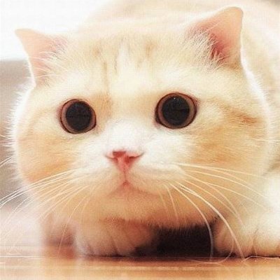 パク・ヒョンシク　大好き💕
2017年秋『花郎』堕ち🍀
よろシクお願い致します💖