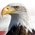American Life Financial is the premier Not-So-Hard Money Lender in Arizona and NM.