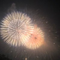 once LOVEこう (@lr3pmjvbsduqm5l) 's Twitter Profile