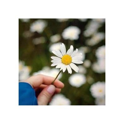 AnaLil19's profile picture. Life is beautiful, keep moving❤