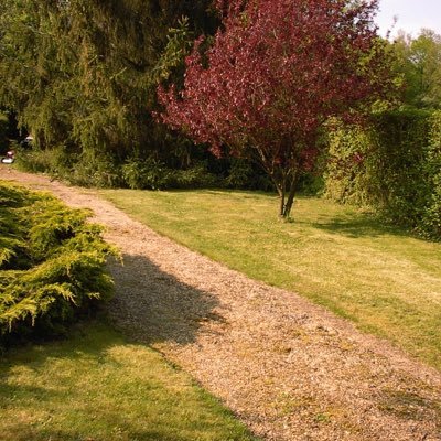 inacfdt's profile picture. 