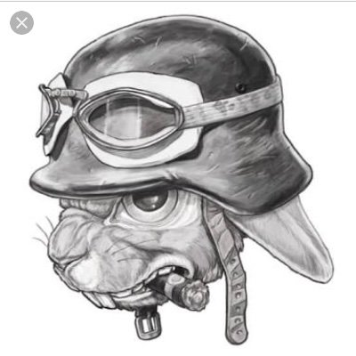 1967 model gamer who loves playing pubg with his mates
Also moderates for a few great streamers who are bad Arse’s and Legends