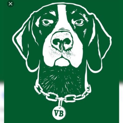 Official Student Section of Van Buren High School
