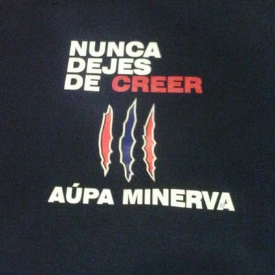 PEÑA NDDC MINERVA Profile