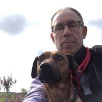 Steve Harrison (@steveha72821838) 's Twitter Profile