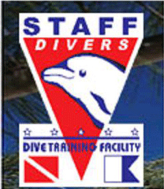 StaffDivers's profile picture. 20 anos de mergulho! Muitos amigos, muitas viagens, uma familia em busca de aventuras!