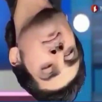 hornests01's profile picture. 