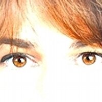 Rehauge (@fraurehauge) 's Twitter Profile