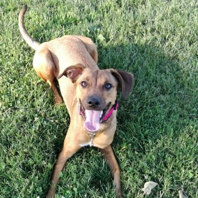 KelaMolero's profile picture. 