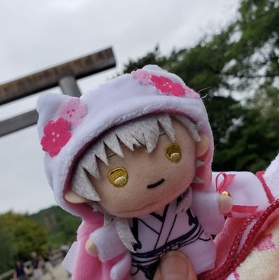 アニメイト(*´ー｀*)らしんばん🎵駿河屋❗️日本橋🏅天王寺が 
すき💗