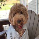 June Griffith - @Griffith1June - Twitter