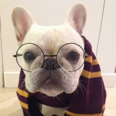 LordBlinder's profile picture. MM93. Gas Gas! ✊🏻✊🏻 y ciclismo en vena. FORZA SEVILLA CAMPEÓN!!!