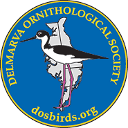 The Delmarva Ornithological Society is a nonprofit organization dedicated to the study and conservation of birds in Delaware and the Delmarva Peninsula.